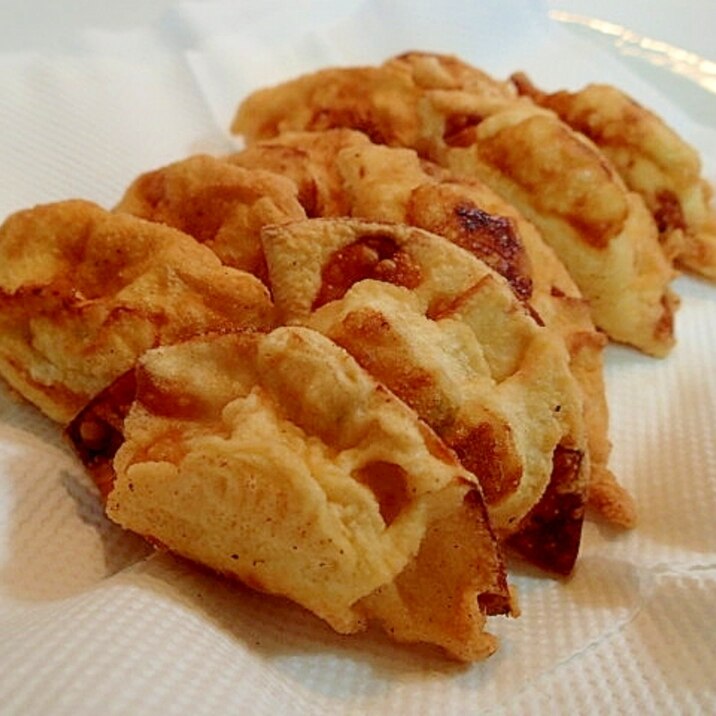 サラダチキンと葱の揚げ餃子